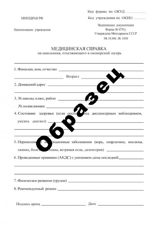 Получить справку в пионерский лагерь в Ростове-на-Дону Справка в пионерский лагерь в Ростове-на-Дону